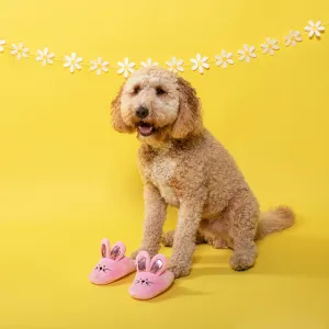 Easter Bunny Slipper Set Dog Toy