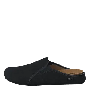 Felce Black