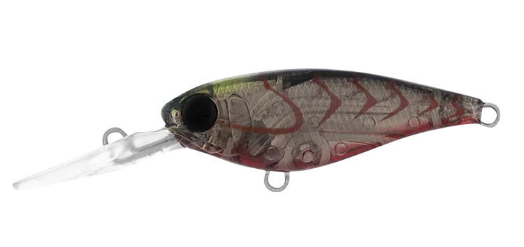 INFEET KODACHI