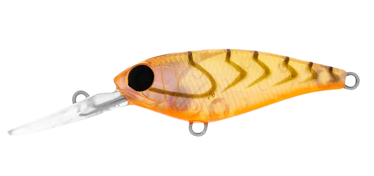 INFEET KODACHI
