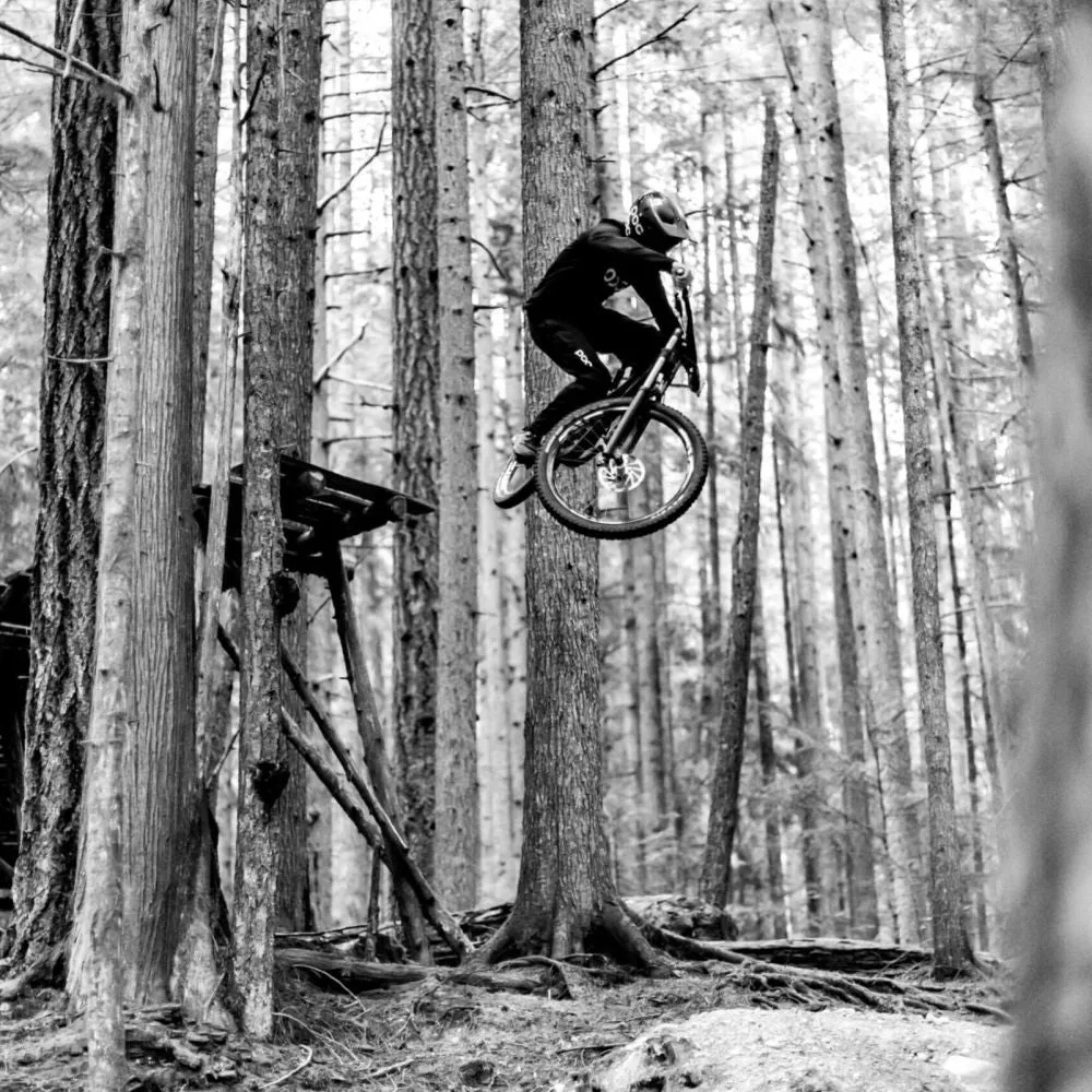 M730 On Hope Pro 5 29" Wheelset