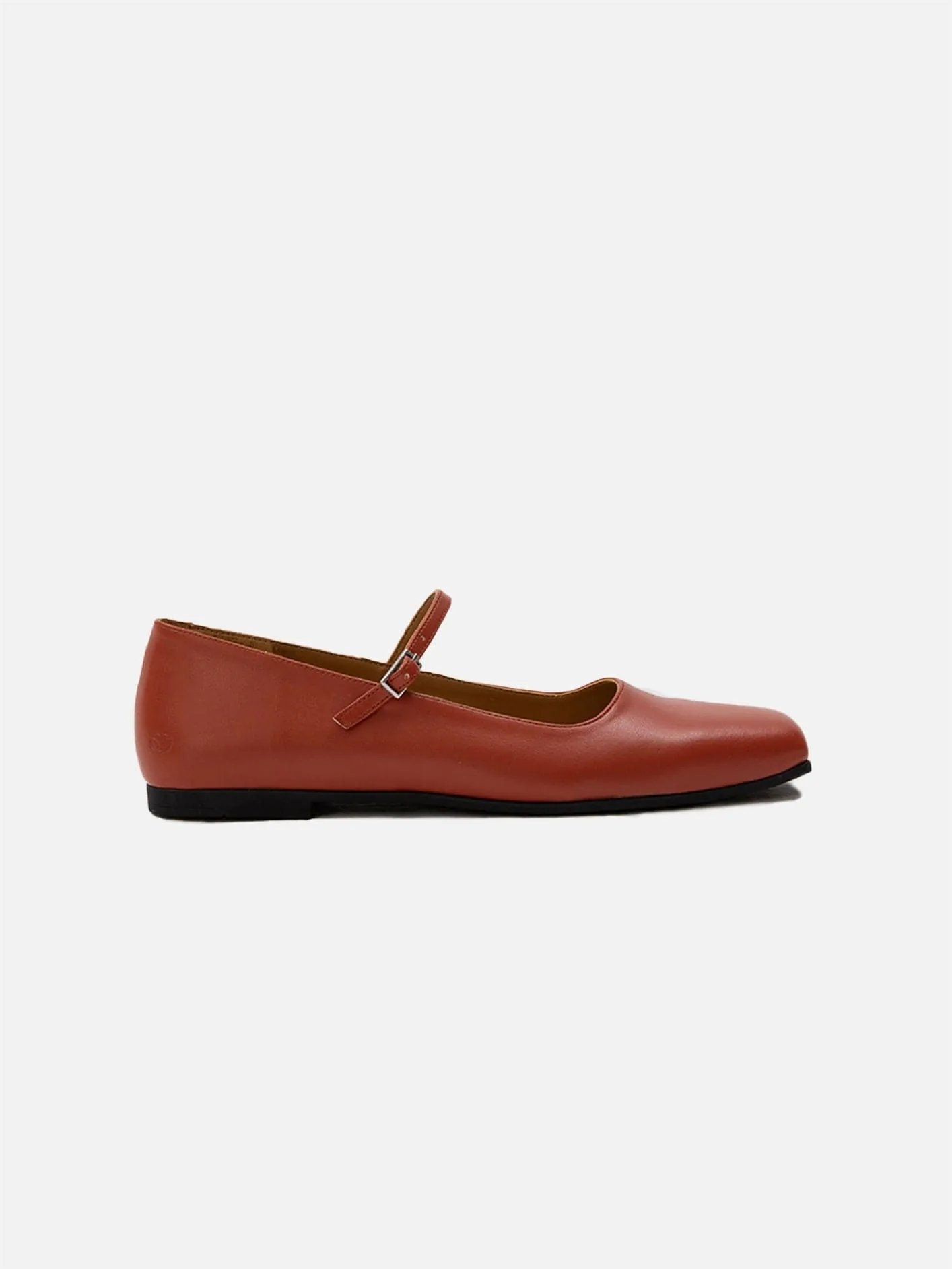 Maria Ballet Flat - Desire