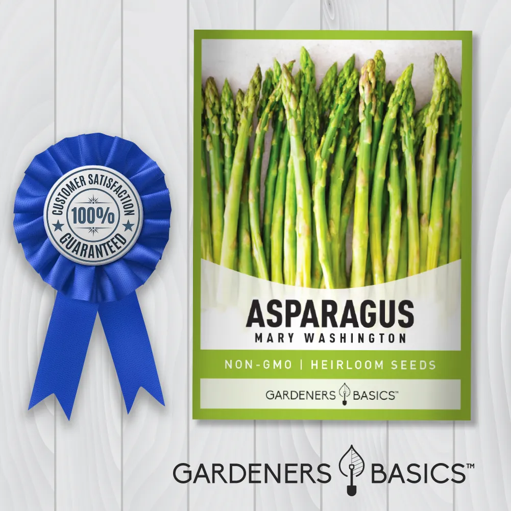 Mary Washington Asparagus Seeds