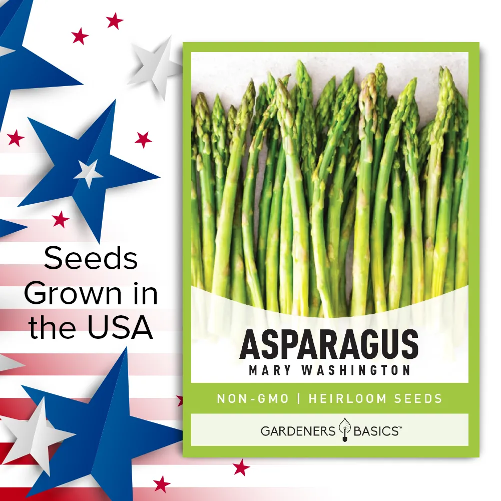 Mary Washington Asparagus Seeds