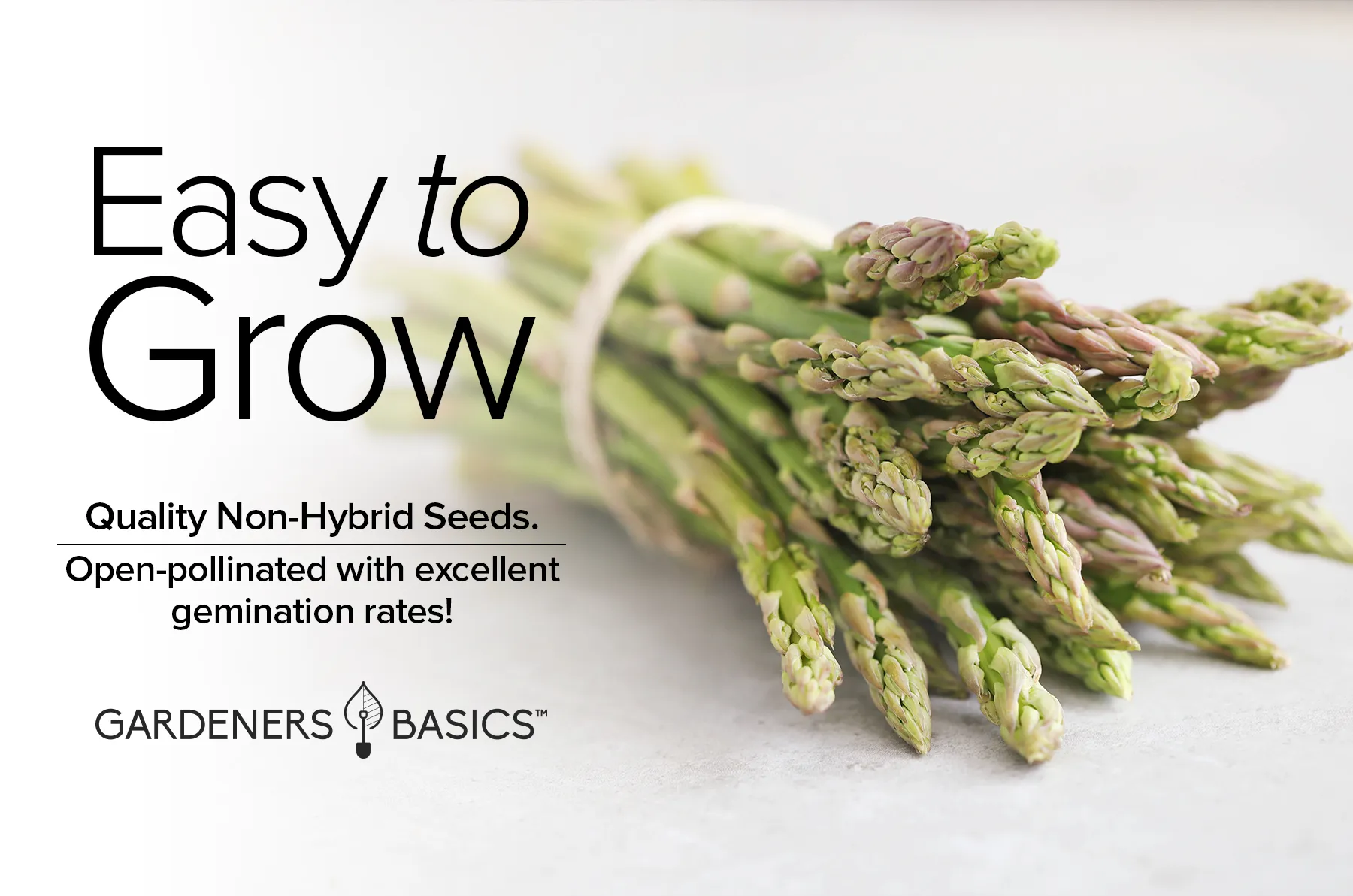 Mary Washington Asparagus Seeds